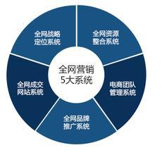 網絡營銷特性、營銷型網站與電子商務平臺開發運營的對比分析
